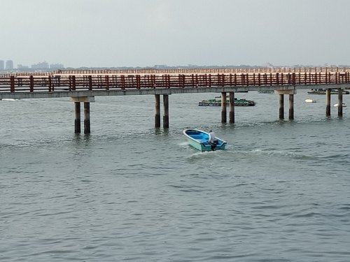 IMG20190426080701.jpg