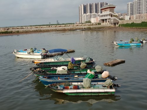 IMG20190426080849.jpg