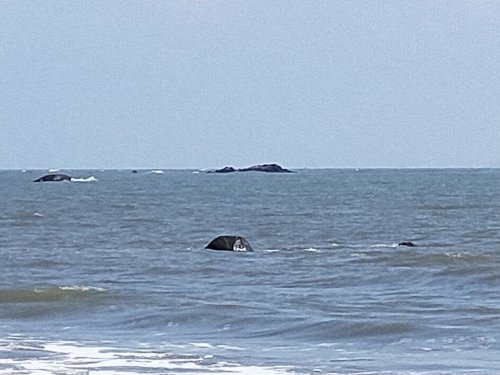 IMG20191010131333.jpg