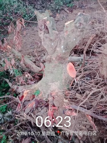 2019_10_10_06_23_50.jpg