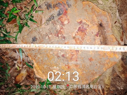 2019_10_10_02_13_58.jpg