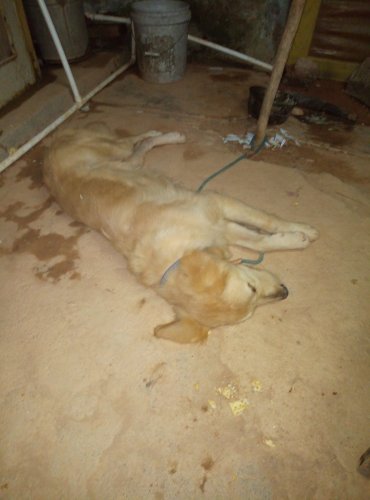 JPEG_20191013_010230_.jpg