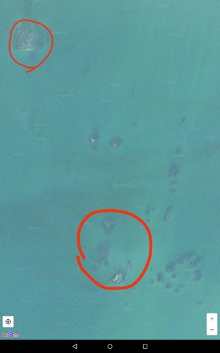 mmexport1570950955072.jpg