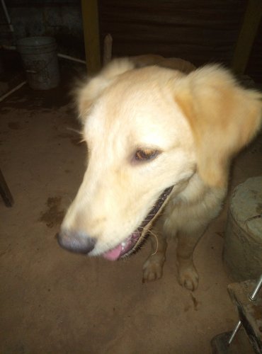 JPEG_20191014_210315_.jpg