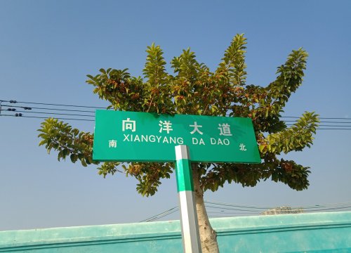 IMG_20191018_101416.jpg