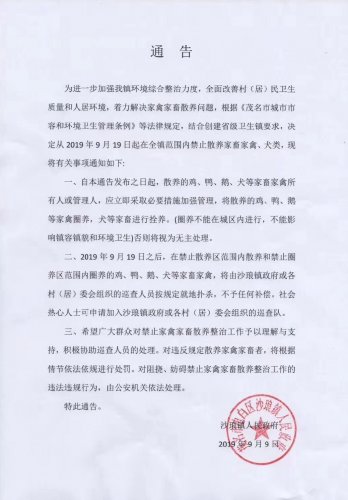 slzf20190909.jpg