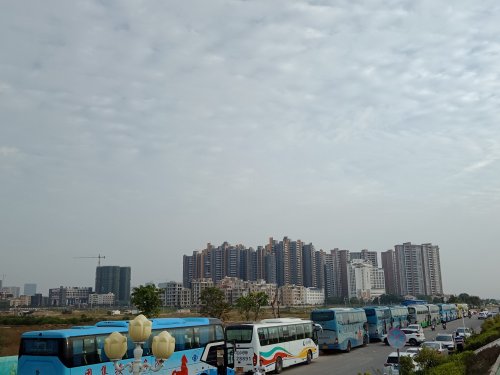 IMG20191101073311.jpg
