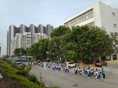 IMG20191101080021.jpg