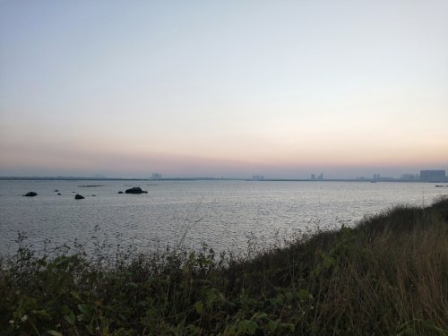 mmexport1573877593847.jpg