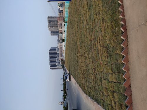 IMG_20191128_072728.jpg
