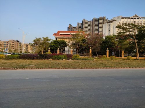 IMG_20191128_072854.jpg
