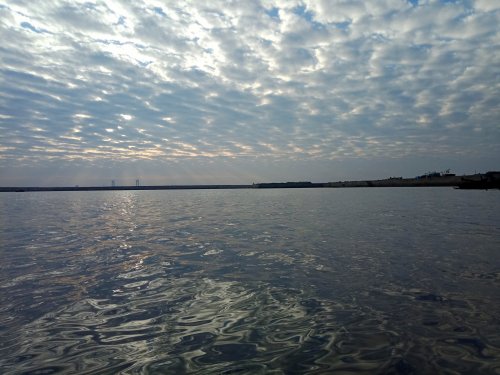 IMG_20191206_223500.jpg
