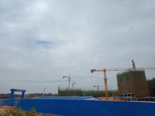 IMG20191205104350.jpg