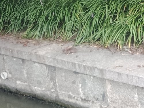 IMG20190825130328.jpg