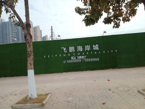 IMG_20200118_141017.jpg