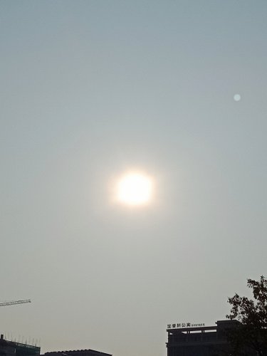 IMG_20200130_093208.jpg