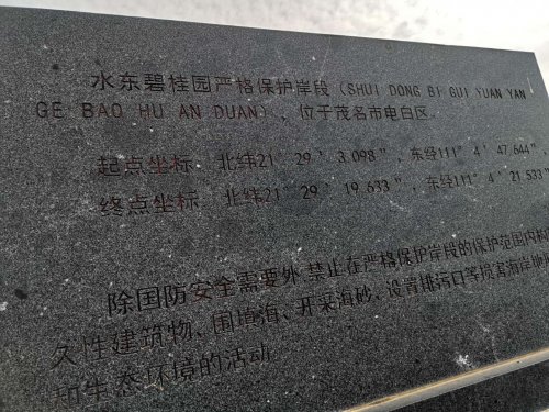 mmexport1586960048024.jpg