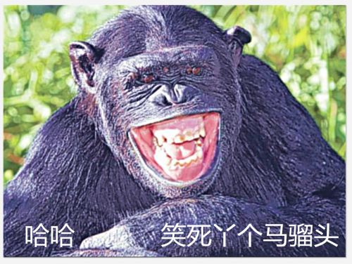 vbn.PNG