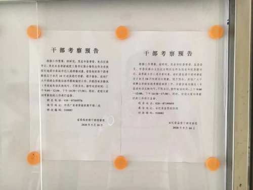 C7B3E779-31EB-4292-8EBE-DB9E9DB80D2B.jpeg