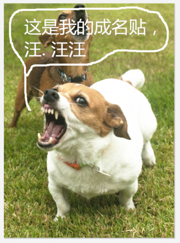 捕获.PNG