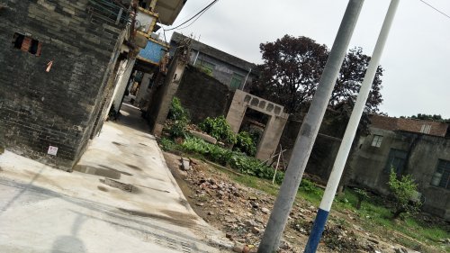 IMG20200529103148.jpg