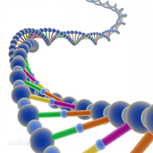 DNA.png DNA.png