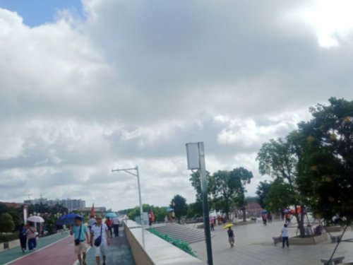 IMG_20200627_120102.jpg