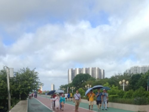 IMG_20200627_120237.jpg