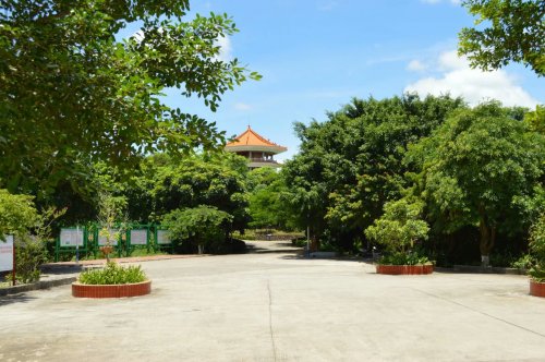 pscHNQJN8CX.jpg