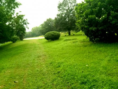 psb01Z8LFX6.jpg
