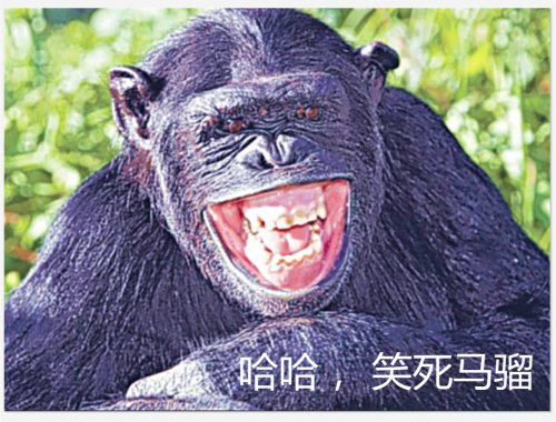 IMG_20201001_211354.png