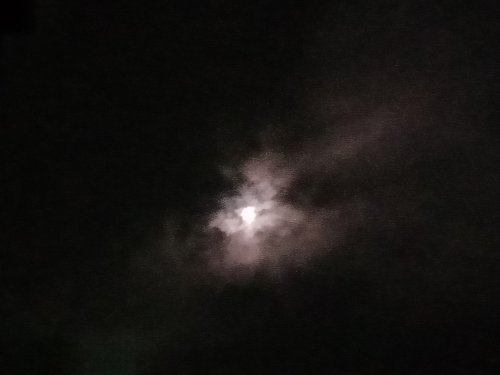 IMG20201001213129.jpg