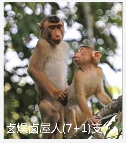 IMG_20201003_215133.png