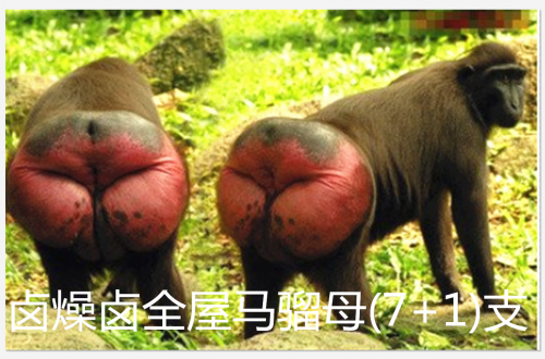 mnb0.PNG
