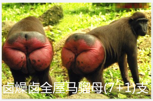 IMG_20201017_181108.png