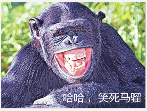 341779-2ab7d8aabe7e815c6977a49532c0eaf9.png