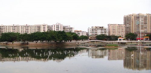 DSC00429_副本_副本.jpg