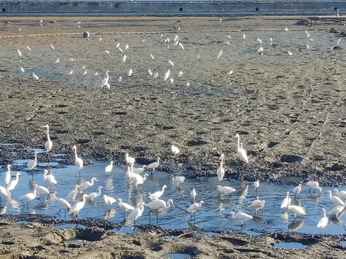IMG_20201112_142610.jpg