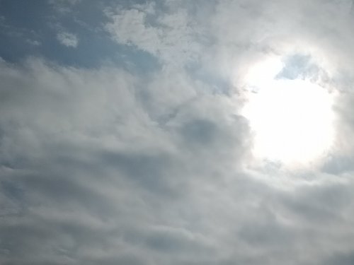 IMG20201229093602.jpg