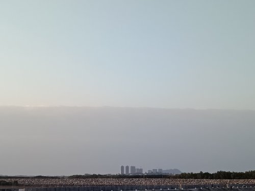 IMG_20201230_080433.jpg