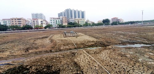IMG_20210107_123924_副本.jpg