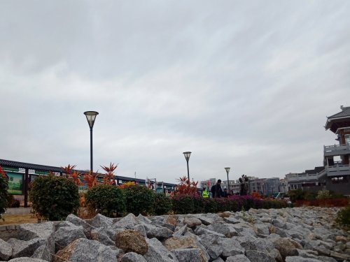IMG_20210120_121012.jpg