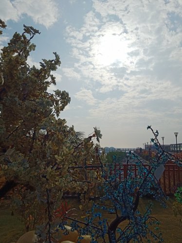 IMG_20210122_102830.jpg