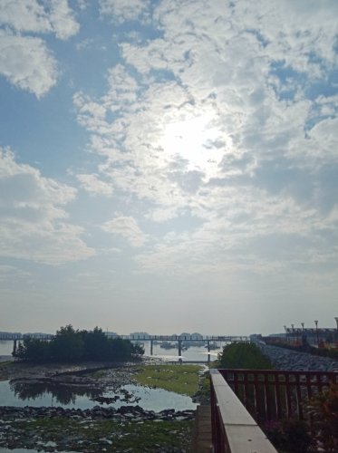 IMG_20210122_103555.jpg