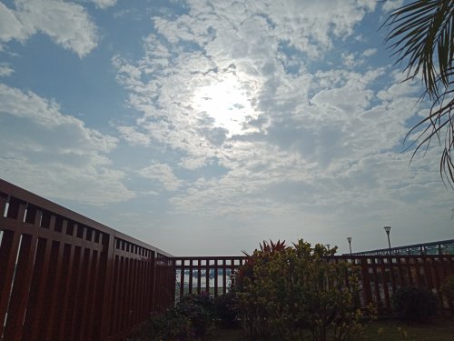 IMG20210122093152.jpg