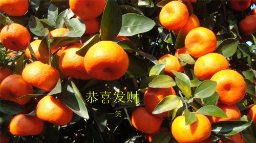 3_副本_副本.jpg