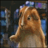 功夫鼠.GIF