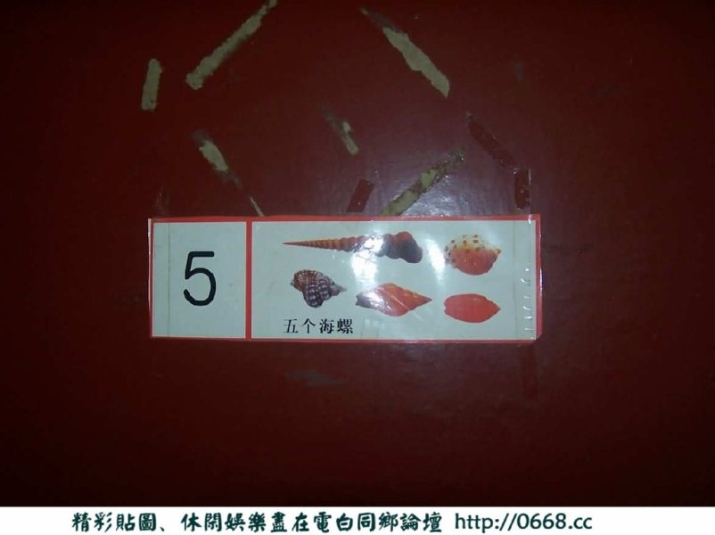 46.jpg