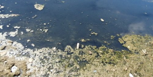 IMG_20210616_111800.jpg