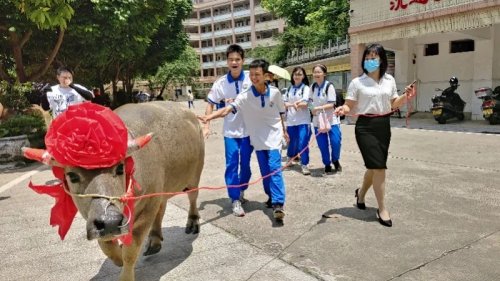 mmexport1624730348428.jpg